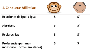 Conductas afiliativas 1