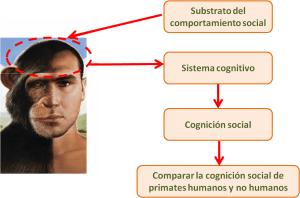 Diferencias 1