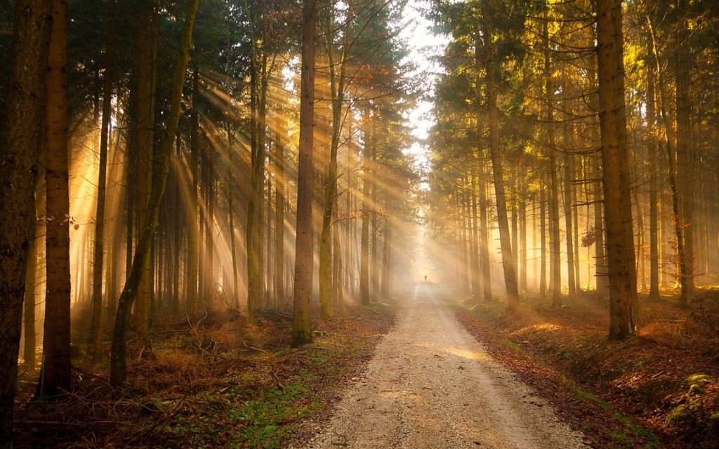 hoja_de_ruta