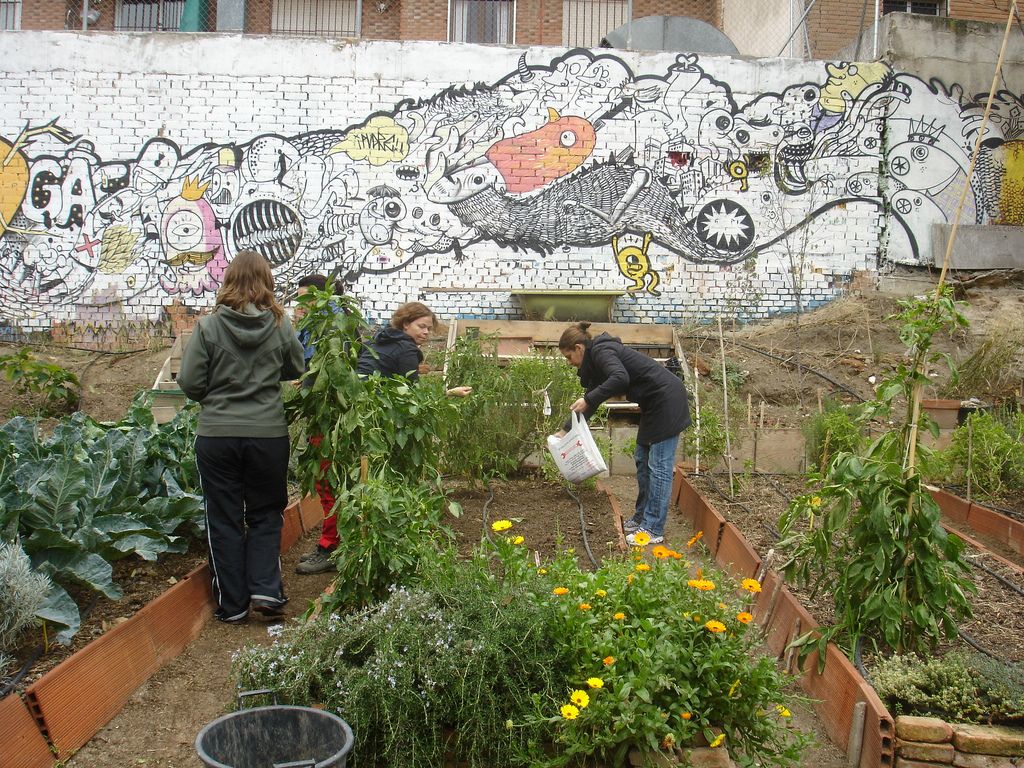 huerto urbano