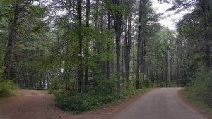 CAMINOS