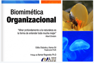 BIOMIMÉTICA ORGANIZACIONAL